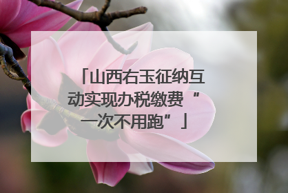 山西右玉征纳互动实现办税缴费“一次不用跑”